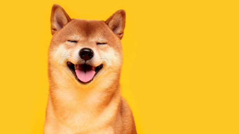 Elon Musk’s Twitter Overhaul Could Be Huge for Dogecoin and Crypto Generally