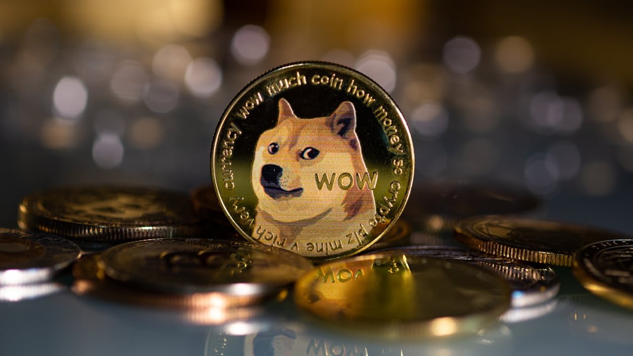 Doge coin meme coins